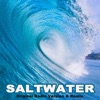 Saltwater (Original Radio Version & Remix) - Single