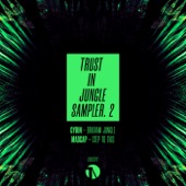 Trust In Jungle Vol.1 (Sampler 2) - Single