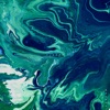 Ookean - Fjords