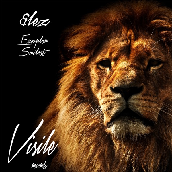 Exampler - Single