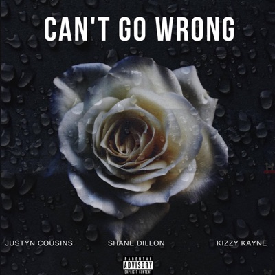 Can't Go Wrong (feat. Shane Dillon & Kizzy Kayne) - Single