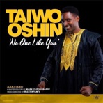 No One Like You - Single