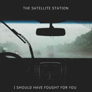 I Should Have Fought for You - Single