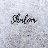 Shalom — Erich Wall