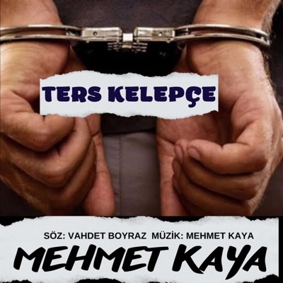 bestekar mehmet kaya - Alayina İsyan