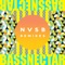 NVSB Remixes