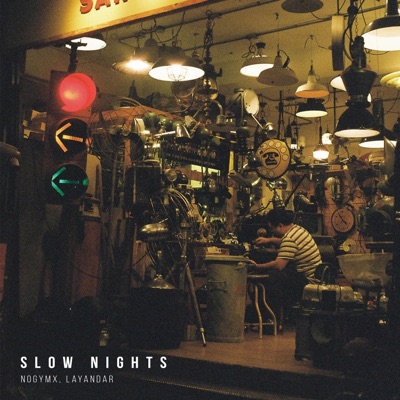 Slow Nights (feat. Layandar) - Single