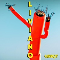 Carrot Ablum Cover
