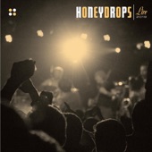 Honeydrops Live 2019 artwork