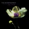 (I Could Be) Gary Numan - The Entertainment lyrics