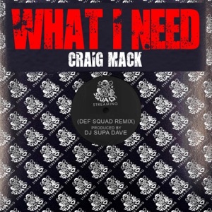 What I Need Remix - Single
