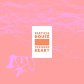 Too Much Heart - EP artwork