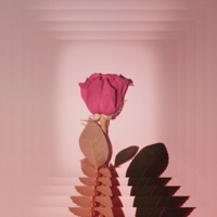 Khamoshi (feat. Nanku) - Single - Dropped Out