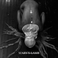 Mary's Lamb - Single - Clay Hodges