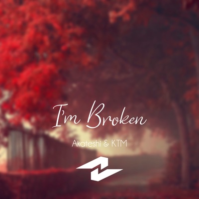I'm Broken - Single