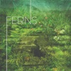 Ferns