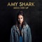 Mess Her Up (Single Edit) - Amy Shark lyrics