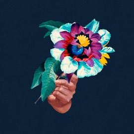 Feel Good (feat. Khruangbin) [Mount Liberation Unlimited's Reduced Funk Tripp] Maribou State