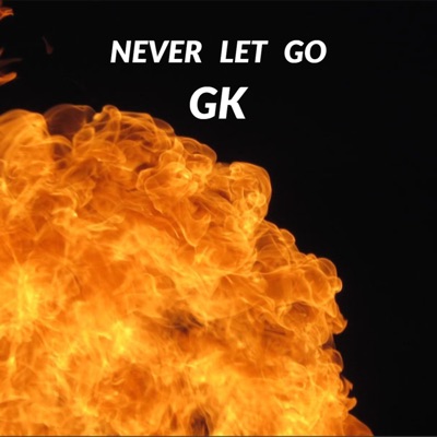 Never Let Go - Single