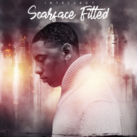 Scarface Fitted Intellect