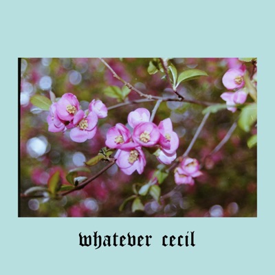 Flowers (feat. Kidahashiya, A. Billi Free & Dillon) - Single