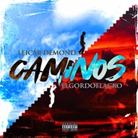 Caminos (feat. El Gordo Flacko) - Single - Leicardemond