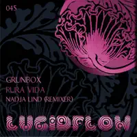 Cosmic Cachondo (feat. Nash Zorin) — Grunbox