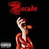 Pecado - Single