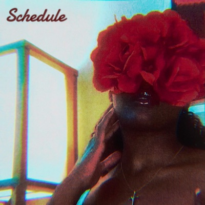 Schedule - Single