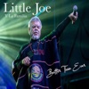 Little Joe