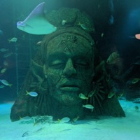 Aqueous - Single - S-ilo