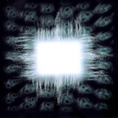 Forty Six &amp; 2 - TOOL Cover Art
