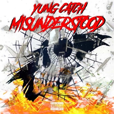 Misunderstood - Single