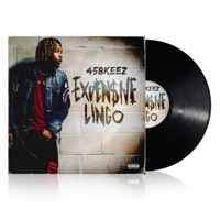 Expensive Lingo (feat. 458 Keez) - Single - Dj Leflare