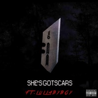 She's Got Scars (feat. Lullabyboy) - Single - yung axstn
