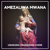 Amezaliwa Mwana artwork