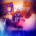 Upside Of Life