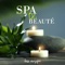 Spa – Tantra et massage classique - Amazing Chill Out Jazz Paradise & Instrumental Piano Music Zone lyrics