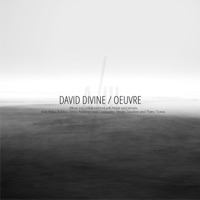 Oeuvre - David Divine