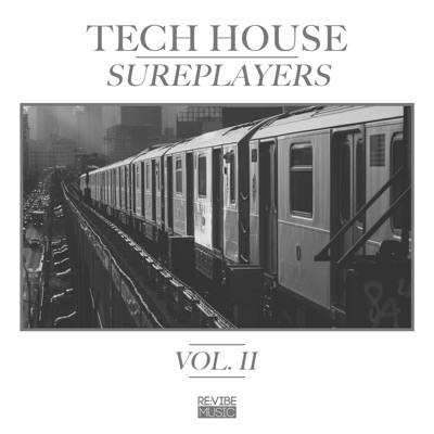 Tech House Sureplayers, Vol. 2