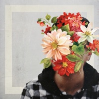 In the Process - Single - Tyfon