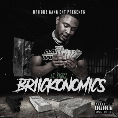 Briickonomics