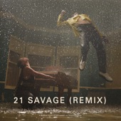 Show Me Love (Remix) [feat. 21 Savage & Miguel] artwork
