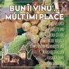 Bun Ii Vinu'… Mult Imi Place