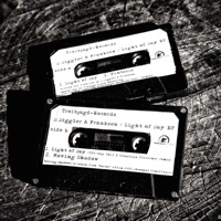 Light of Day - D.Diggler & Franksen