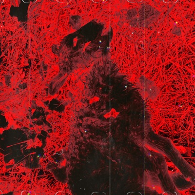 Sheep (feat. ONI INC.) - Single