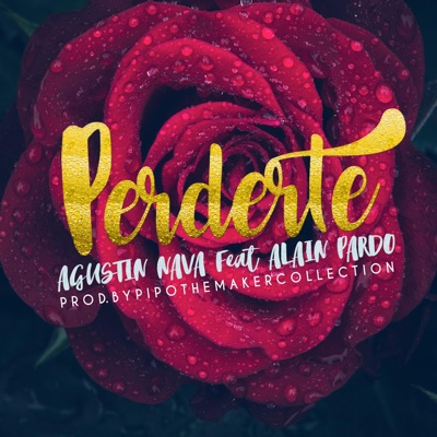 Perderte (feat. Agustín Nava & Alain Pardo) - Single