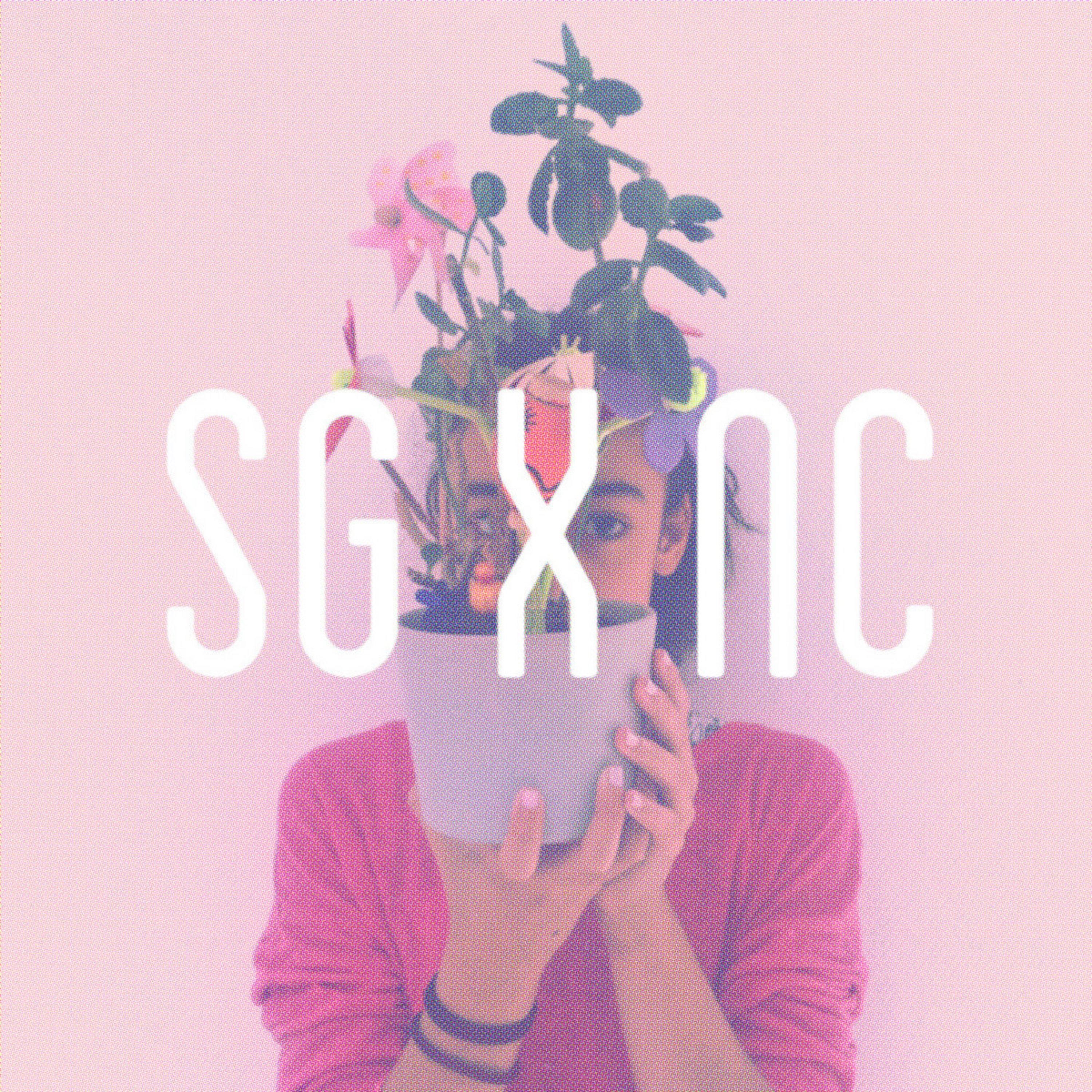 Sg X Nc
