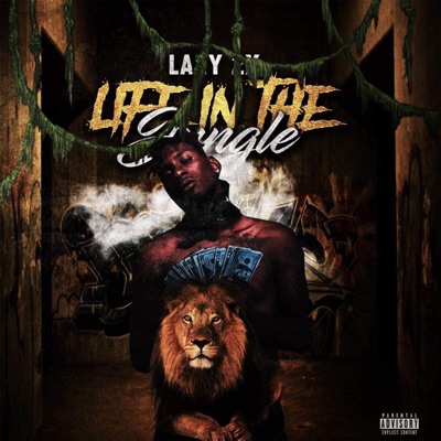 Life in the Jungle