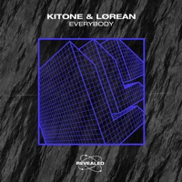 Everybody - Single - Kitone, Lørean & Revealed Recordings